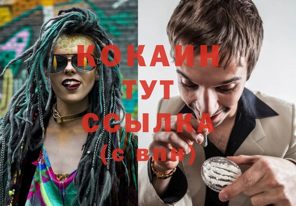 mix Белокуриха