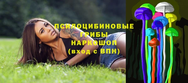mix Белокуриха